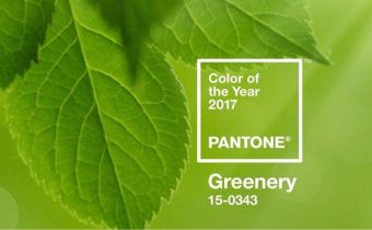 Оттенок Greenery